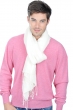Cashmere & Silk accessories shawls platine ecru 204 cm x 92 cm